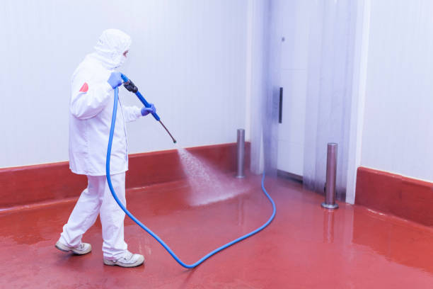 Best Roof Washing  in Heartland, TX